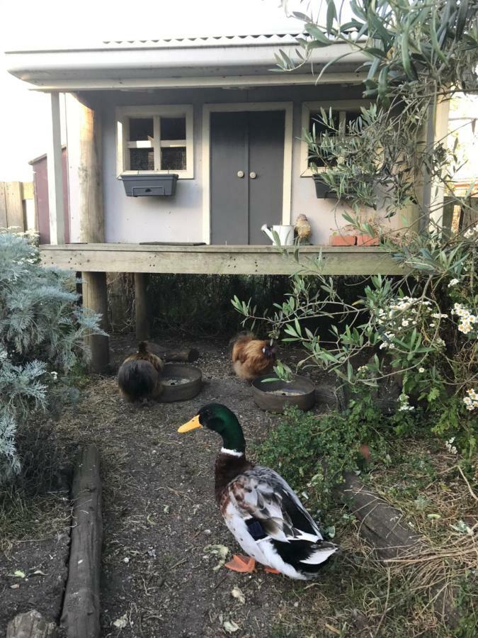 Langleys Port Campbell Hobby Farm Apartment Exterior photo