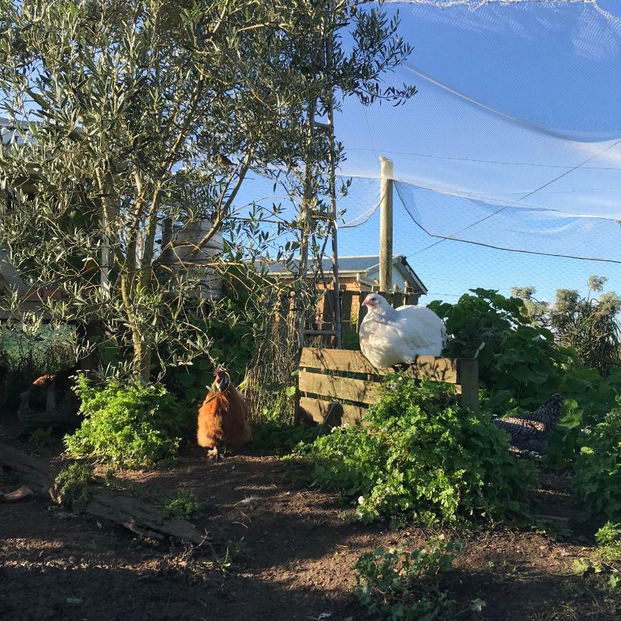 Langleys Port Campbell Hobby Farm Apartment Exterior photo